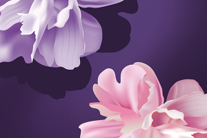 Новые коллекции оправ уже в салоне «Оптика 3Z» в ТРЦ «Европейский»