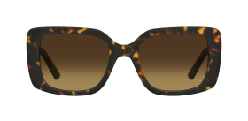 Описание изображения.